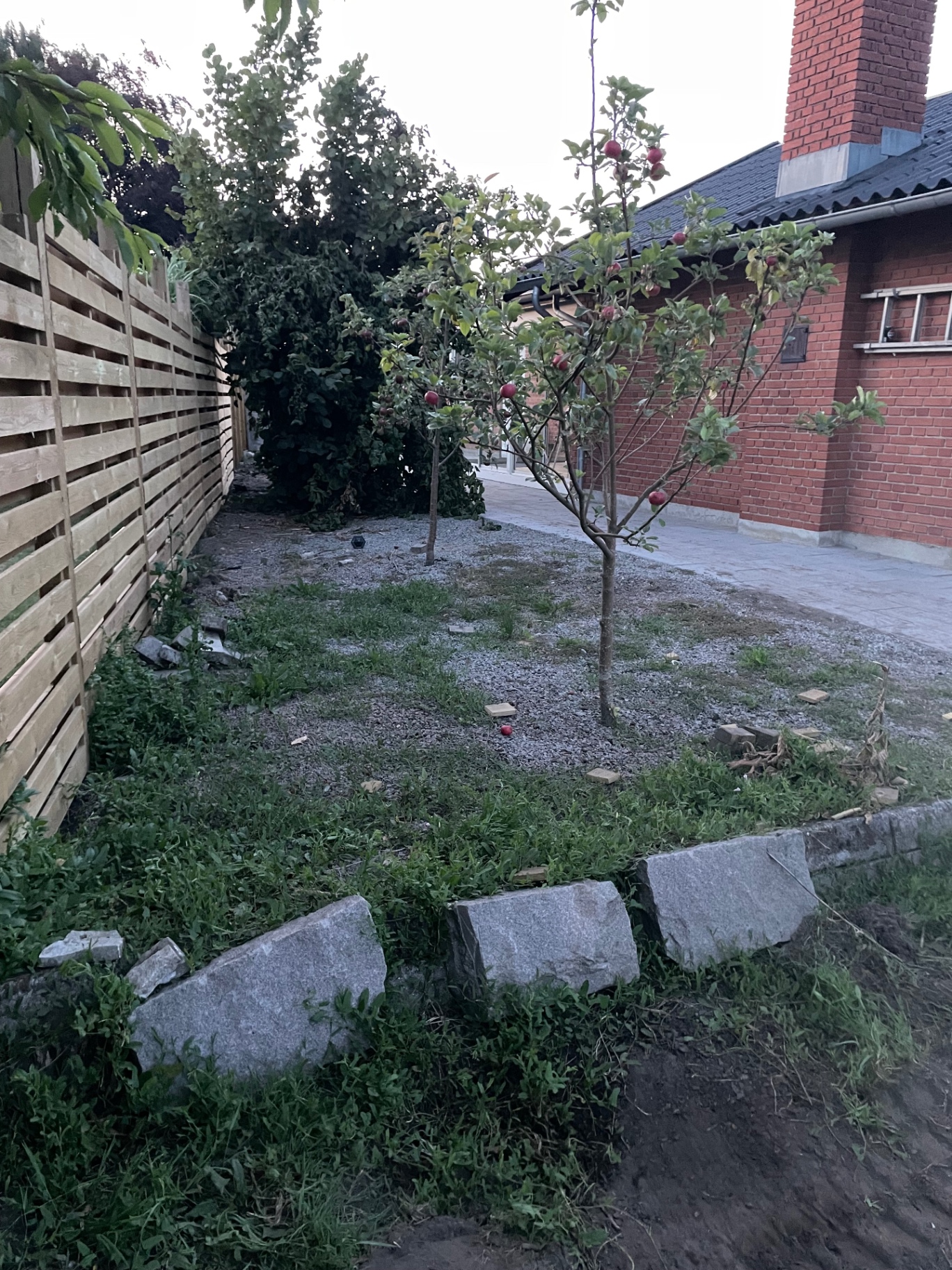 Rodet hjørne med løse sten, grus og gammel beplantning