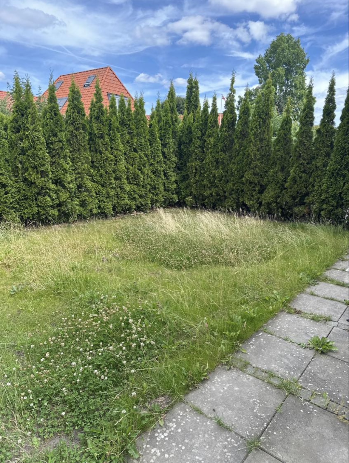 Før: tilgroet, uens plæne med ukrudt og højt græs